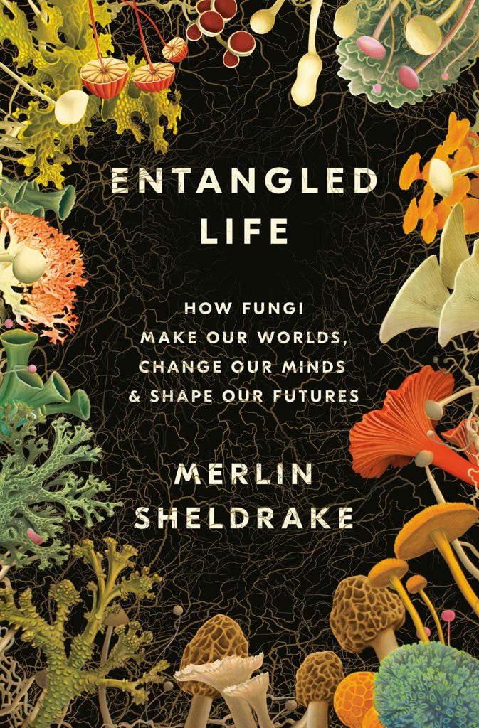 entangled life